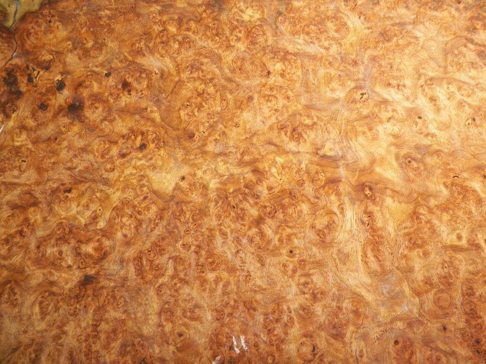 The Beauty of Burl Wood