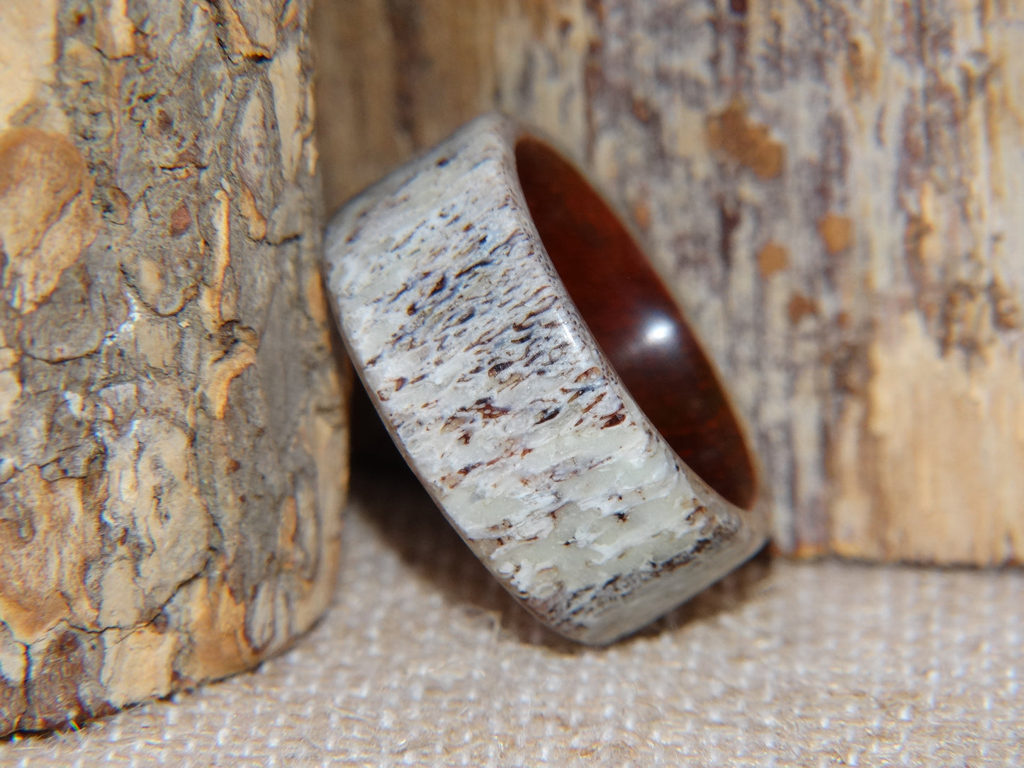 Bentwood Ring - "Aglow" Deer Antler on Padauk Wood Core with Phosphorescent Stabilized handcrafted bentwood wooden rings wood wedding ring engagement