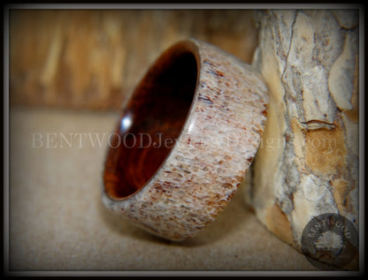 Bentwood Ring - "The Hunter" Antler on Snakewood handcrafted bentwood wooden rings wood wedding ring engagement