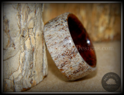Bentwood Ring - "The Hunter" Antler on Snakewood handcrafted bentwood wooden rings wood wedding ring engagement
