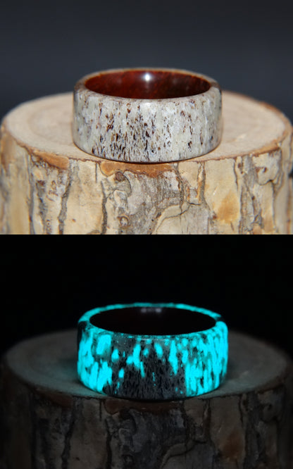 Bentwood Ring -  "Aglow" Deer Antler on Padauk Wood Core with Phosphorescent Stabilized handcrafted bentwood wooden rings wood wedding ring engagement